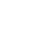 Chess Icon